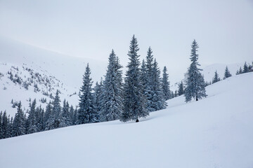 A serene winter landscape with a thick blanket of snow and a view of the mountains.