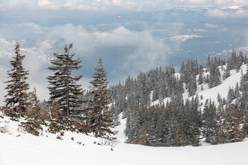 A serene winter landscape with a thick blanket of snow and a view of the mountains.