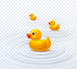 Duck family with water ripple effect isolated on transparent background. Yellow bath baby rubber toys. Vector 3d bathtub kid game elements template