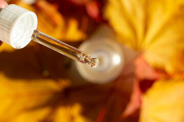 Concept of autumn skincare. Closeup of a jar of moisturizer serum bottle and maple leaves.