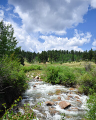 Clouds Above the Creek