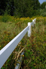 Biały płot prowadzący do nikąd © Przemysaw