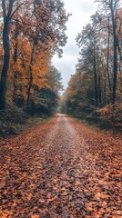Obraz premium A serene autumn pathway lined with orange and yellow foliage.
