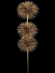 Fototapeta premium Golden Fireworks Display in the Night Sky