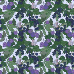 Blackberry and black currant pattern