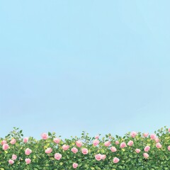 Delicate Pink Roses Against a Light Blue Sky