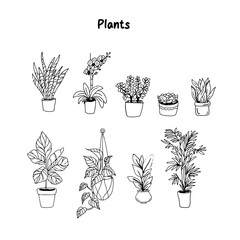 Plants vectors