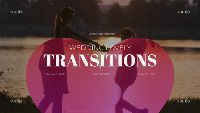 Wedding Lovely Transitions / vol.03