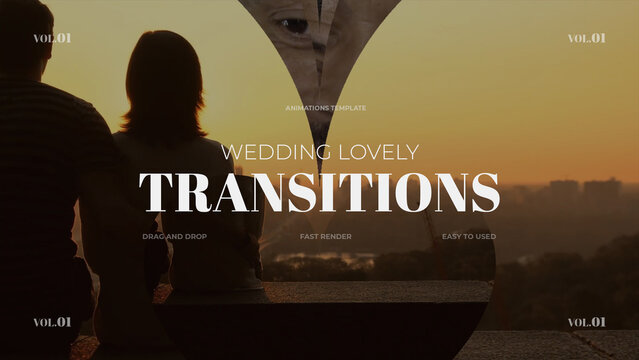 Wedding Lovely Transitions / vol.01