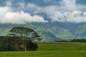 Rural scenic beauty of Kauai near Pukaki Reservoir. Clouds over the hills and fields on the Island of Kauai