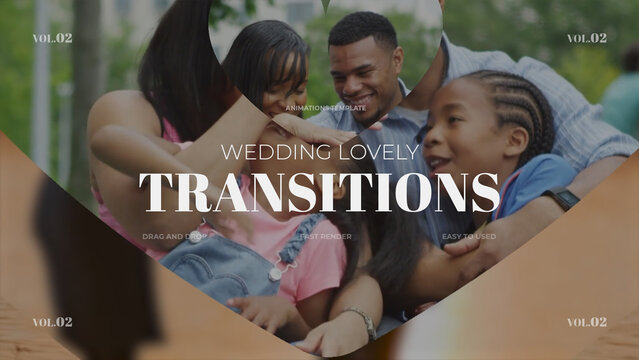 Wedding Lovely Transitions / vol.02