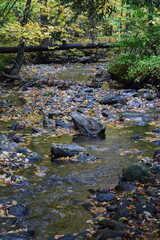 Fall leaves in river