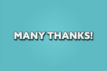 Many thanks. A Illustration with white text isolated on light green background.