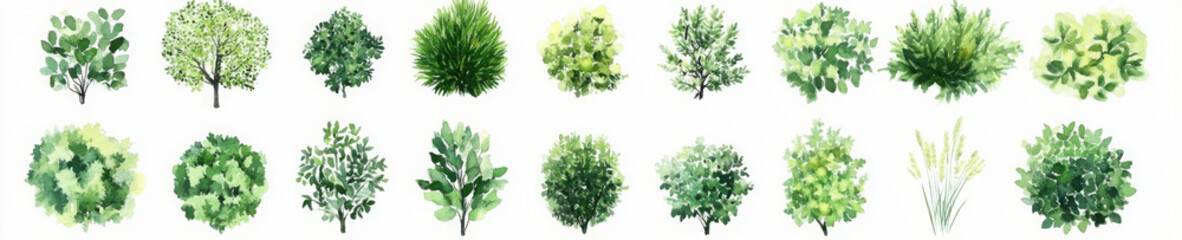 Obraz premium Landscape plan and architecture layout watercolor tree top view
