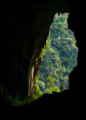 Deer Cave - Gua Payau or Gua Rusa in Sarawak on Borneo island, Malaysia, Gunung Mulu National Park,...