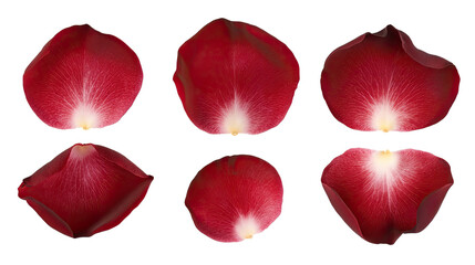 Fototapeta premium Red Rose Petals on a Transparent Minimalist Background Generative AI