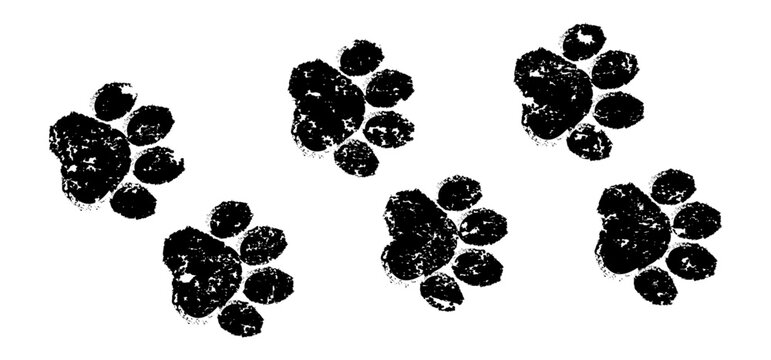 Dog paw print, cat foot grunge icon, animal sketch path. Bear, panda step texture. Tiger stamp foot track. Black silhouettes isolated on white background. Cartoon vector illustration