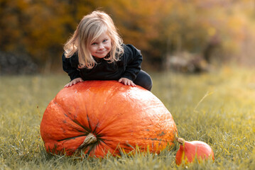 three-year-old blonde girl in a black tracksuit taking a picture with a giant pumpkin, autumn photoshoot in the countryside on a meadow, colorful trees in the background