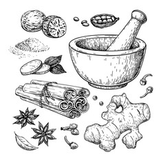 Winter spice vector drawing. Flavoring seeds and herbs for christmas food and drinks.