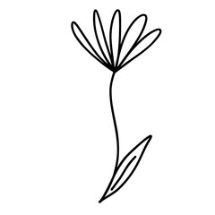 Cute flower doodle 