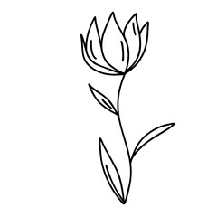 Cute flower doodle 
