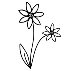 Cute flower doodle 