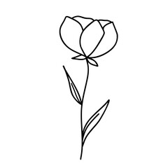 Cute flower doodle 
