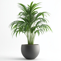 Naklejka premium Potted Plants. Beautiful Indoor Potted Plants for Modern Home Decor, Stylish Potted Plants Collection for Interior Design, Green Indoor Plants in Decorative Pots for Home and Office.