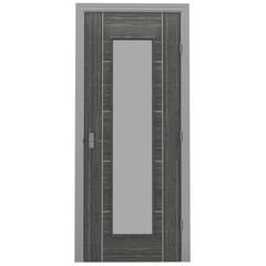 3d render gray door with glass transparent background