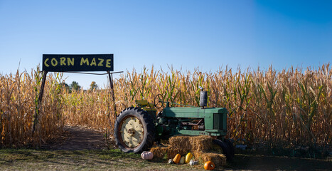 Entrance to a corn maze at a fall festival with a decorative tractor.