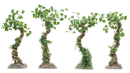 Fototapeta premium Twisted Branches With Ivy Cascading on Transparent Background Generative AI
