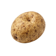 Fototapeta premium Rustic potato with textured skin on white background