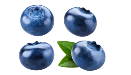 Blueberries isolated 