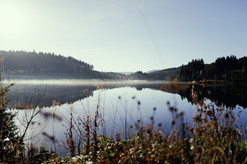 Mystischer See im Morgennebel im Schwarzwald am Feldberg mit Spiegelung der Herbstlandschaft