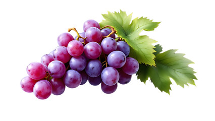 Fototapeta premium A bunch of purple grapes with green leaves on a transparent background