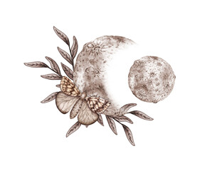 Two moons, grass flowers and butterflies in brown and beige tones watercolor illustration. Cosmic body isolated from background. Astrology of moon phases. Design concept for poster, card, banner, 