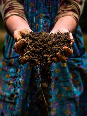 Soil in hands