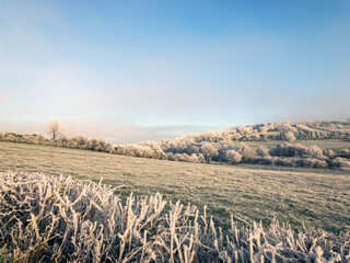 winter landscape