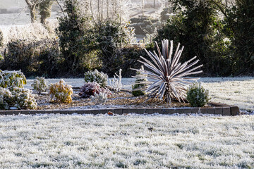 winter landscape