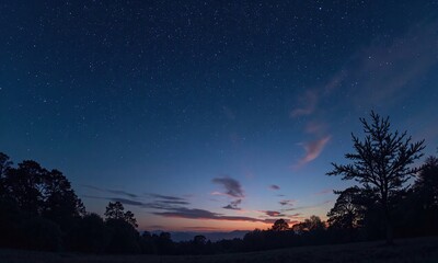 Night sky panorama starry expanse twilight horizon silhouetted