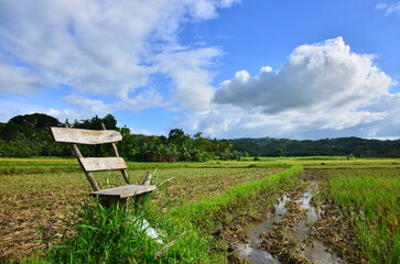 chair in the field