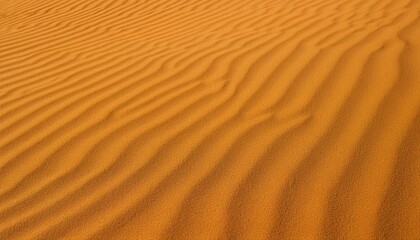 sand background