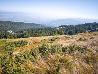 Landscape of Vitosha Mountain, Bulgaria