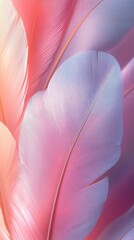Soft Pink and Purple Feather Texture	