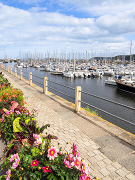 Marina in Binic, Brittany, with numerous sailboats docked. The walkway is lined with colorful flowers.