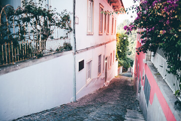 A narrow cobblestone alleyway between pastel-colored buildings, bordered by pink and white walls with blooming plants and iron fences, leading downhill into lush greenery