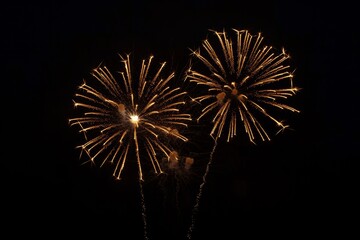 Glowing Golden Fireworks Display against Black Night Sky
