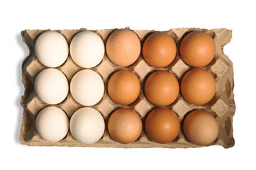 Eggs in carton pack isolated on white background. Top view