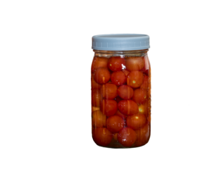Mason jars filled with fermenting cherry tomatoes and cabbage on a kitchen counter top surrounded by dried corn and sugar pumpkins