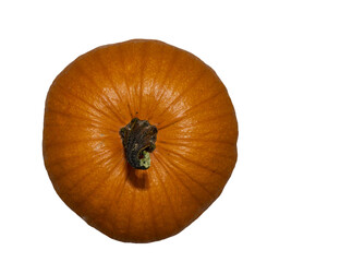 Sugar Pumpkin freshly picked from the garden taken from above